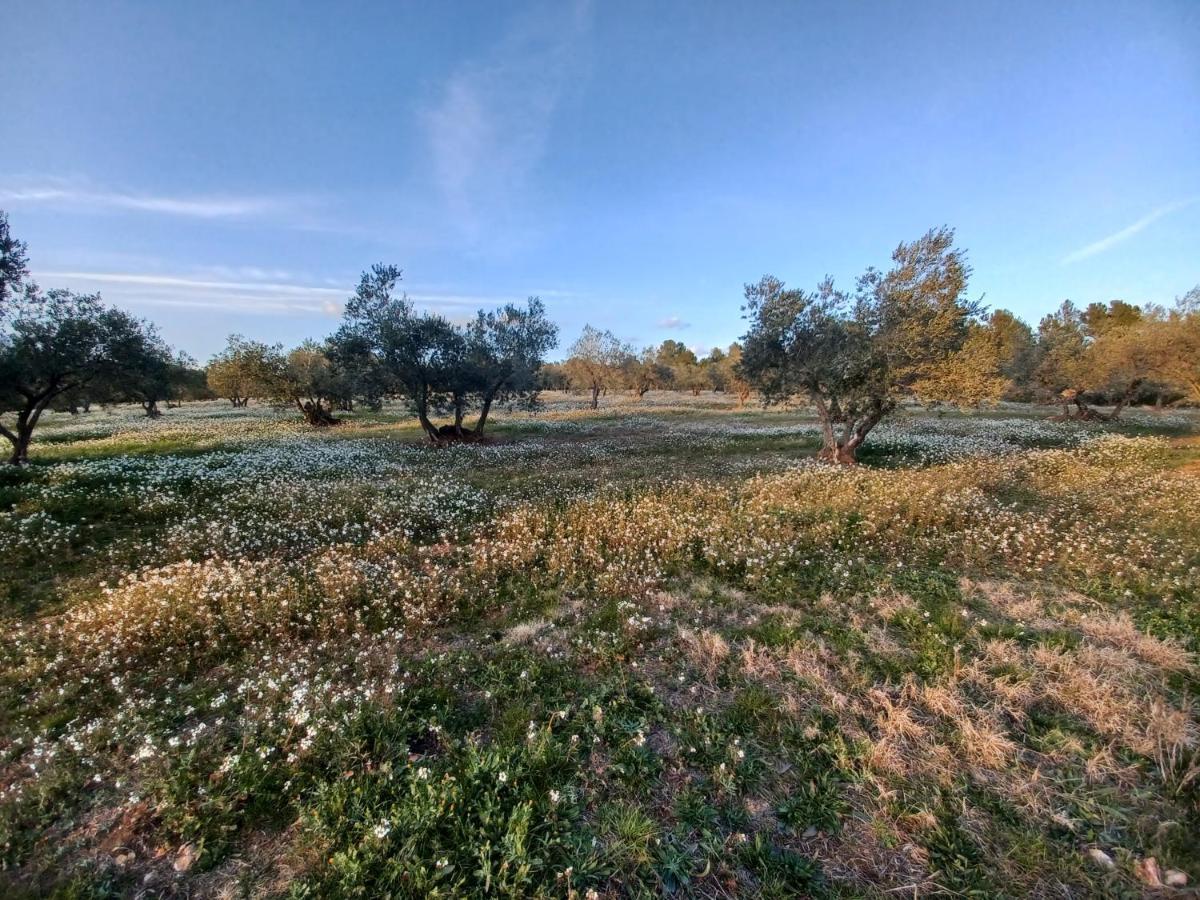 3Natura Avinyonet de Puigventós Eksteriør billede